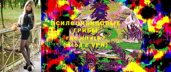 МДПВ Абаза