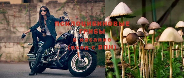 дурь Абдулино